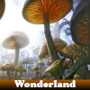 Wonderland 5 Differences