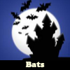 Bats. Find objects