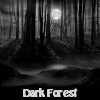 Dark Forest. Find objects