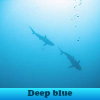 Deep blue. Find objects
