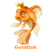 Goldfish. Find objects