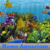 Home Aquarium