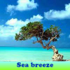 Sea breeze 5 Differences