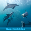 Sea Bubbles 5 Differences