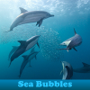 Sea Bubbles 5 Differences