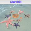 Starfish. Find objects